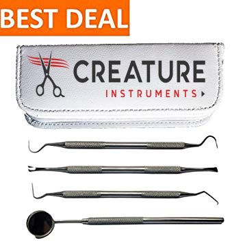 Dental Dentist Pick Tool Kit