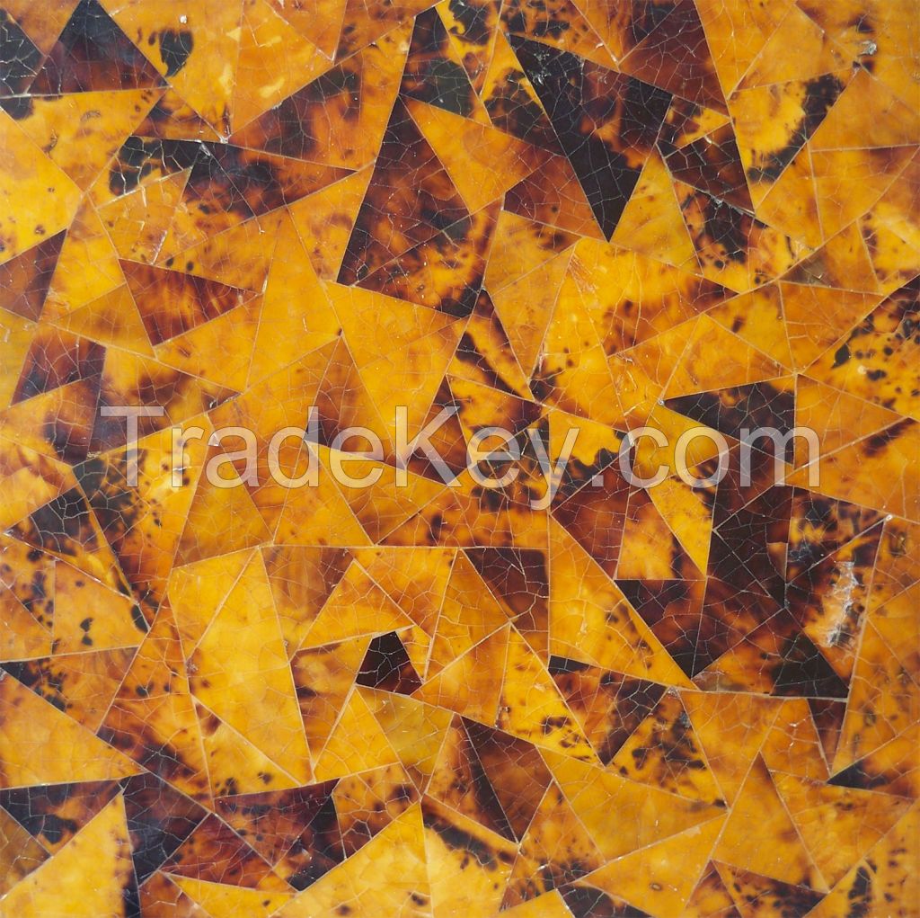 Shell Decorative Material