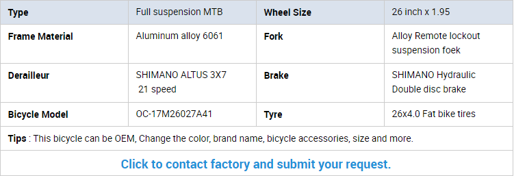 2019 Bicycle OEM ODM manufacturer Customized Factory MTB Road Fat Fold