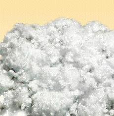 Hollow Conjugated Polyester Staple Fiber