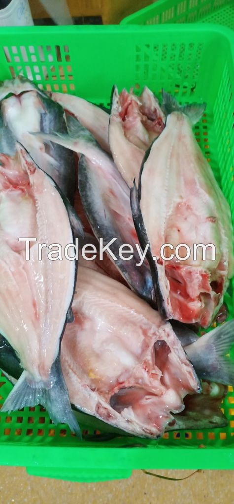 Frozen Pangasius Butterfly, Whatsapp +84.907956597