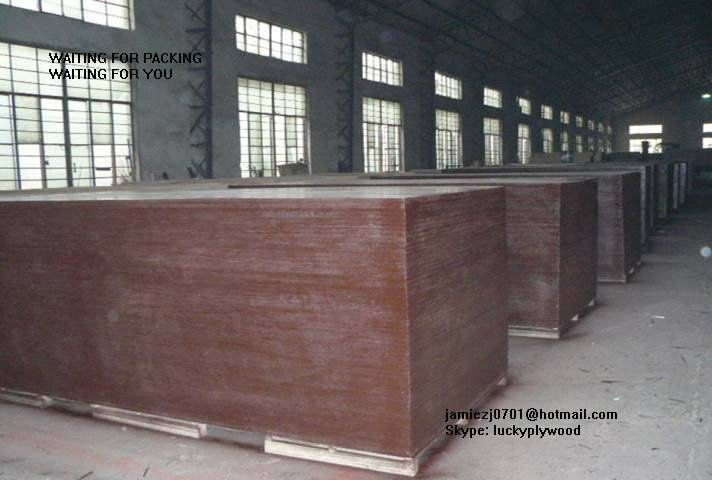 brown film faced plywood from linyi