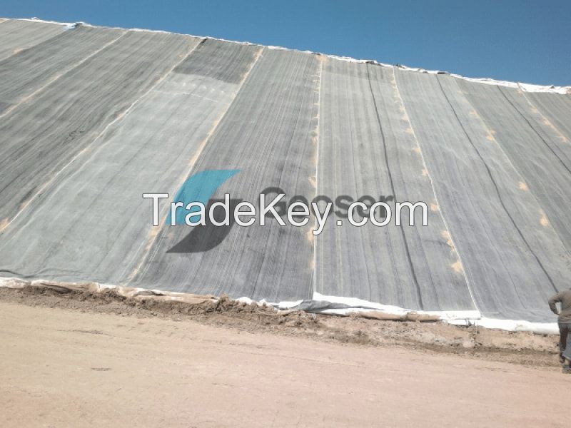 PVC and Polyethylene Geomembranes