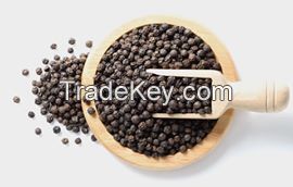 BLACK PEPPER FACTORY VIET NAM BEST QUALITY