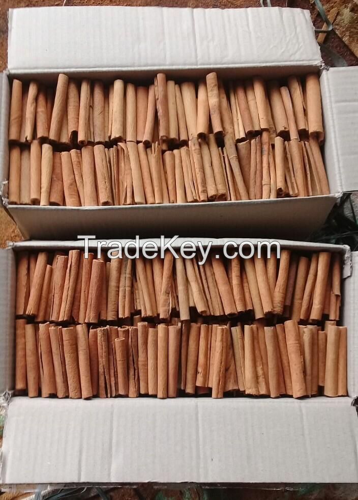 Cassia/Cinamon stick lowest price manufacturer Viet Nam