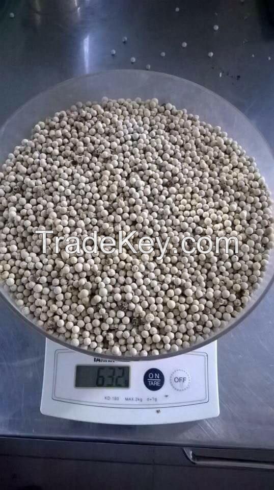 WHITE PEPPER MACHINE CLEAN FACTORY VIET NAM BEST QUALITY +84359318390