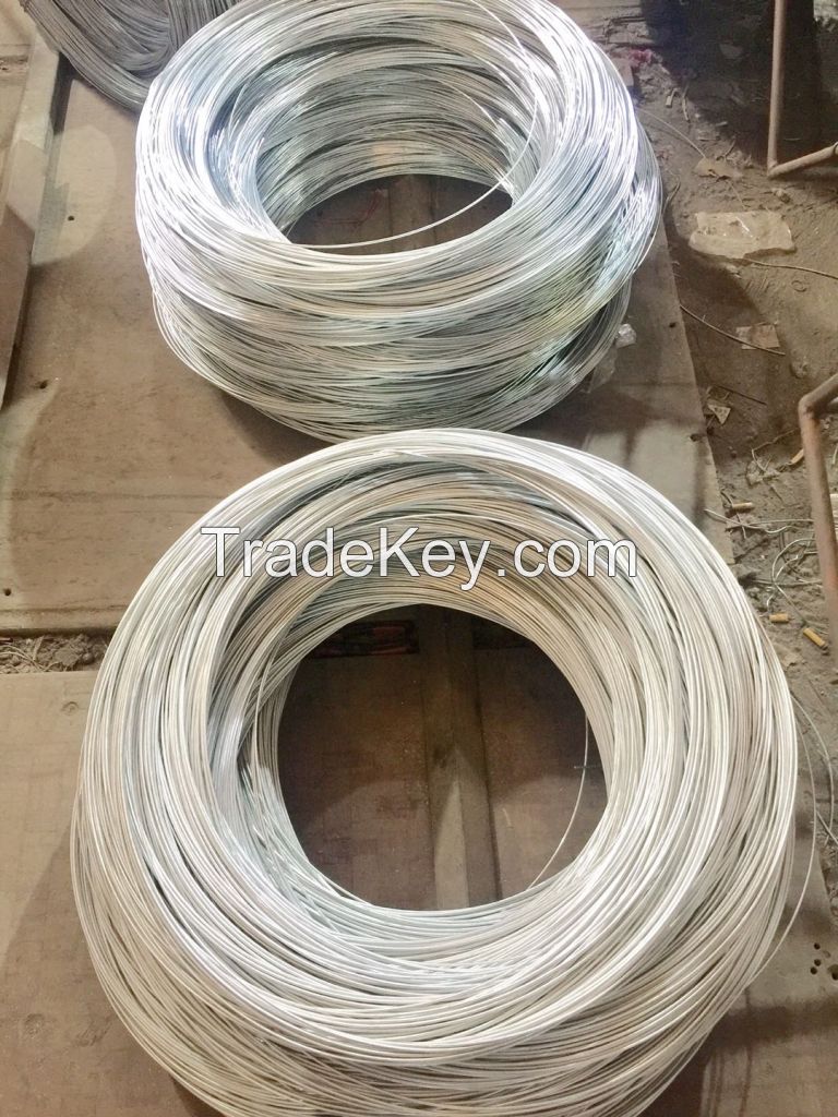 High-quality Electro galvanized wire 2.5mm from Vietnam