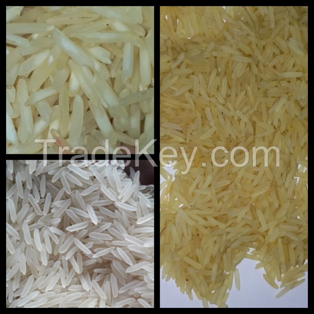 Basmati rice for export from India