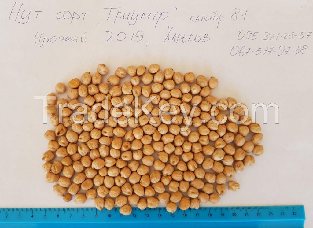 chickpeas in Ukraine