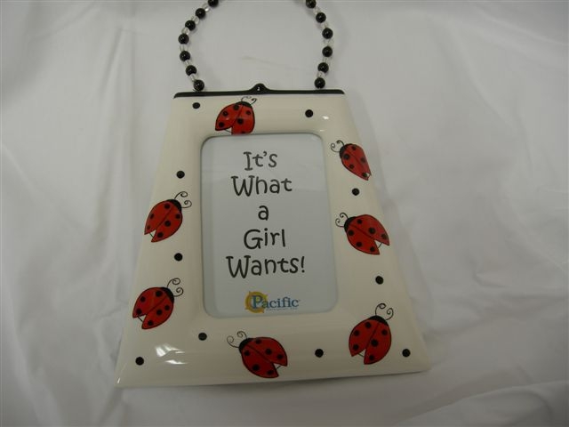 Lady Bug frame