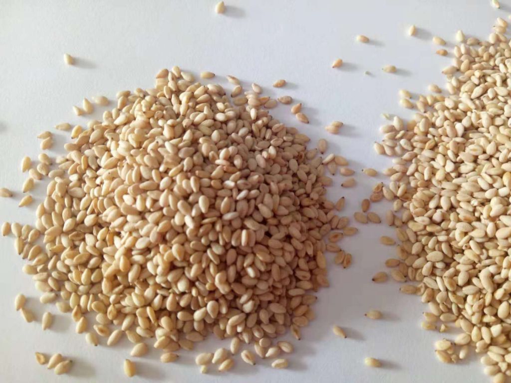 Organic Roasted Sesame Seeds Sesame Paste Sesame Oil