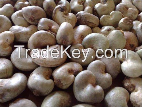 Raw cashew nuts in shells, Cashew Nuts, Raw Cashew Nuts, Cashewnuts