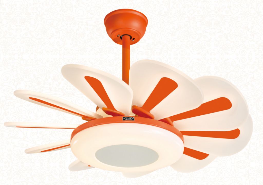 Ceiling Fans with Lights