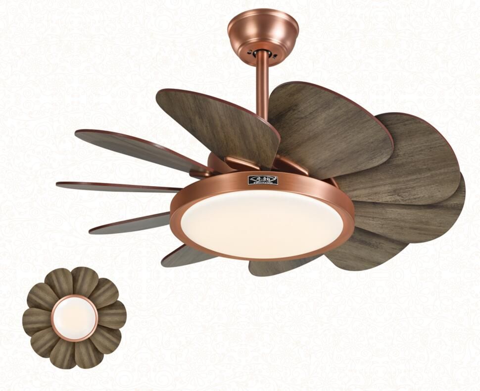 Modern Ceiling Fans with Lights
