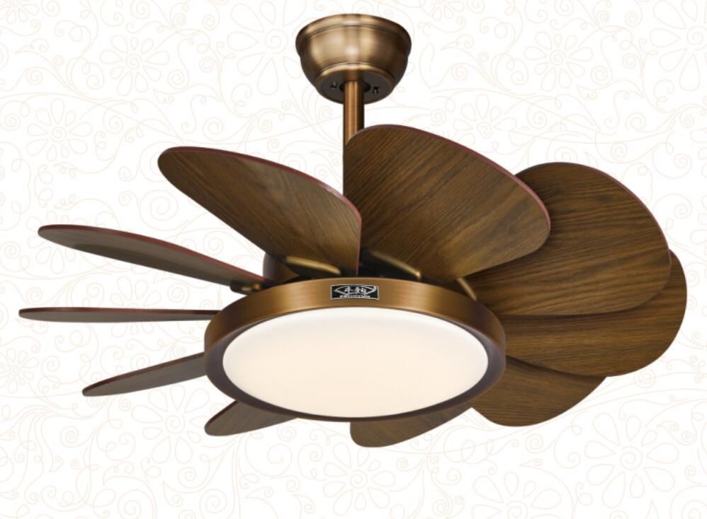 Modern Ceiling Fans with Lights