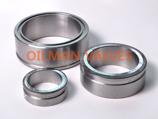 gate valve seat, seat ring, seat seal ring