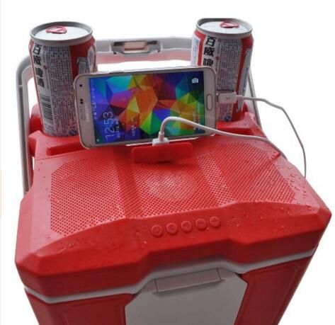 multi-function cooler box with Bluetooth speaker