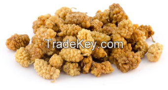 High Quality Mulberries from Turkey