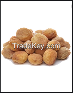 High Quality Dried Apricot from Turkey