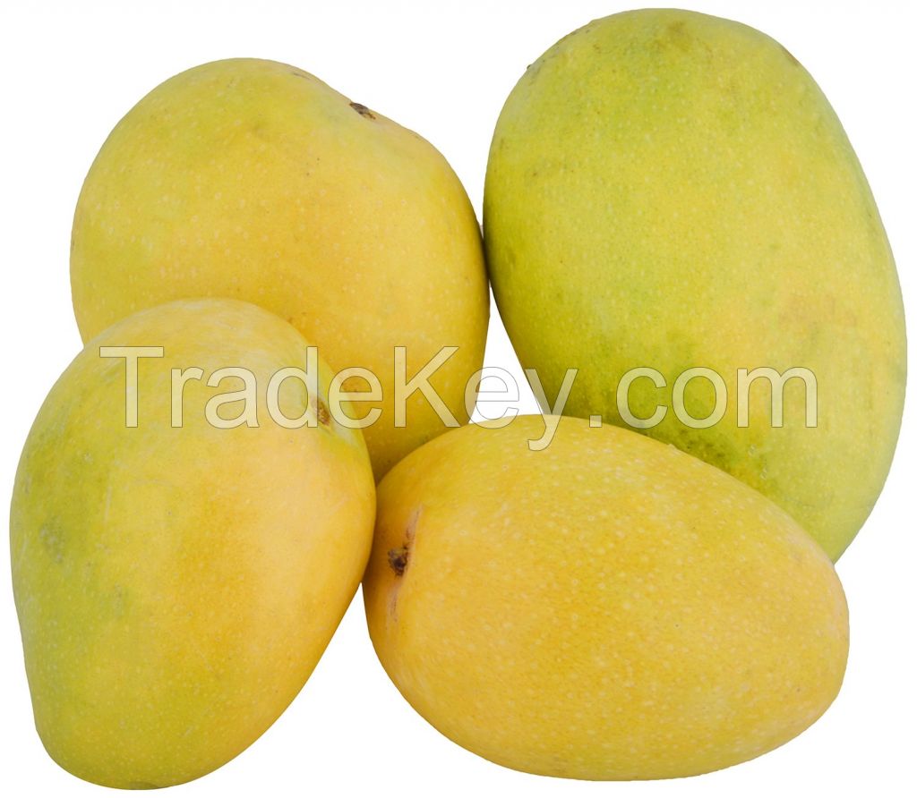 banganpally mangoes