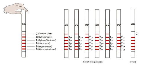 Sulfonamides &amp; Tylosin/Tilmicosin &amp; Lincomycin &amp; Erythromycin &amp; Fluoroquinolones Rapid Test Kit