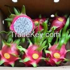 Dragon fruit