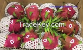 Dragon fruit