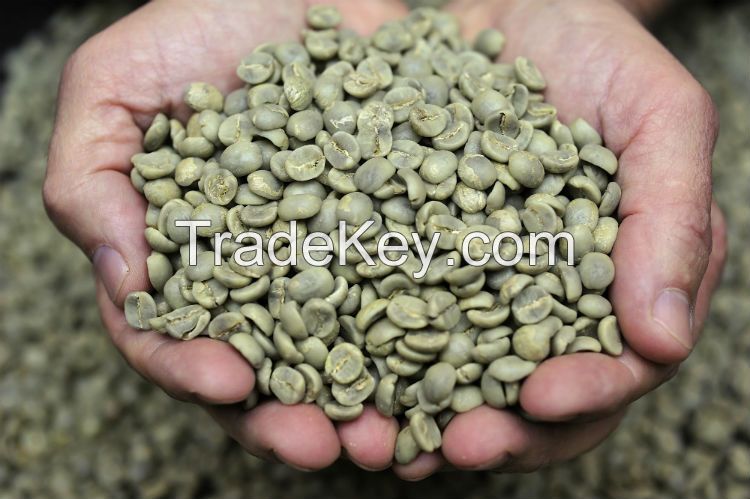 Green Arabica Coffee Beans