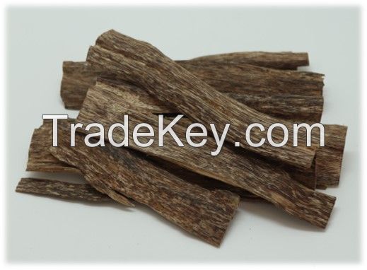 Cultivated Agarwood Oudh Oud