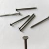 Factory Supply Cheap Price Common Iron Nails