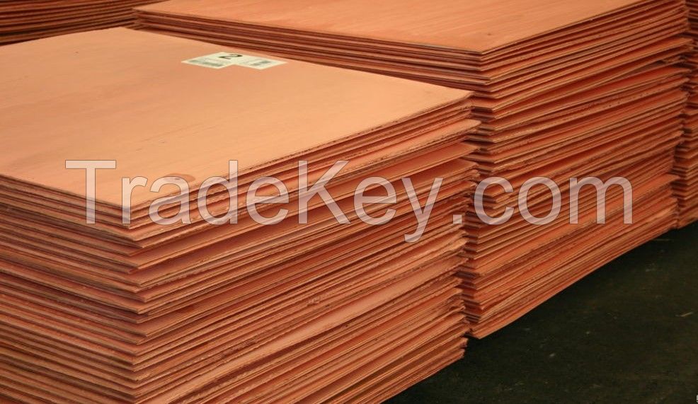 Copper Cathode