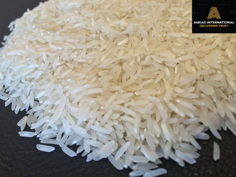 PK-386 Rice