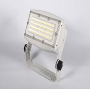 LED Flood Lamp 100W