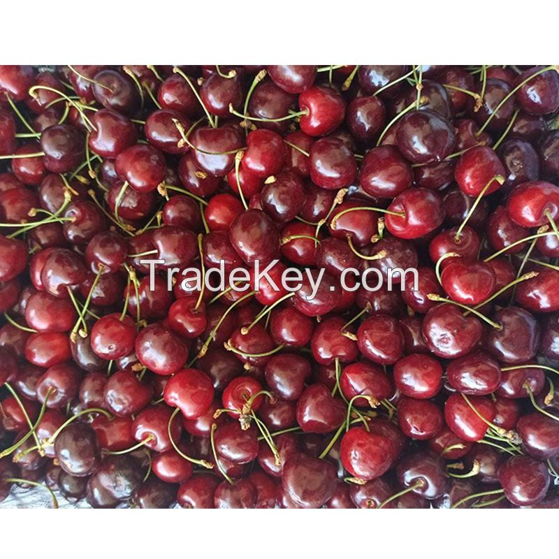  High Quality Natural Taste Red Farm Fresh Cherries for Sale