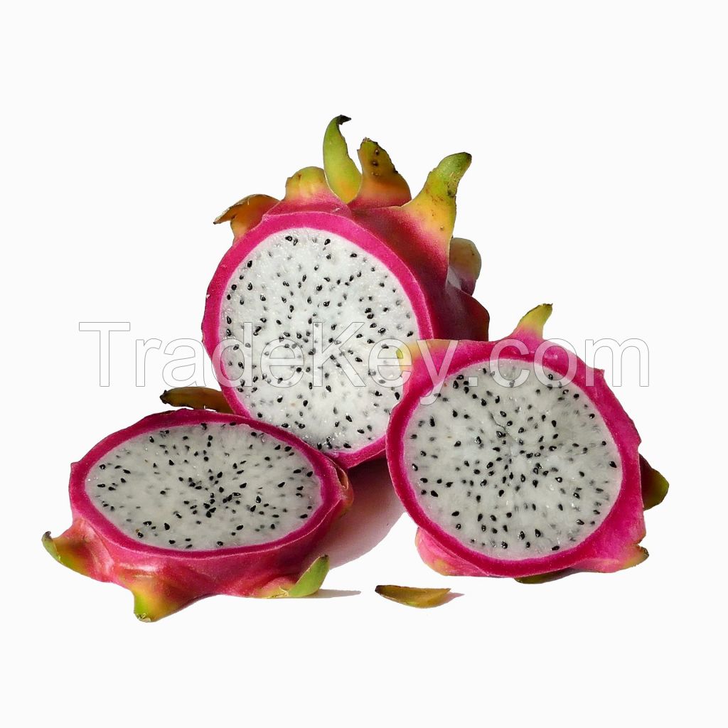  Free Sample Fresh Dragon Fruits From South Africa, Cheap Price Stock Available