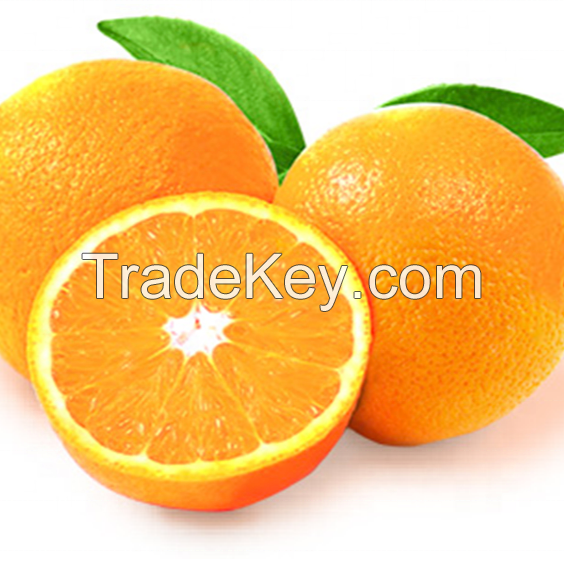 Fresh Valencia Oranges Juicy Oranges From South Africa