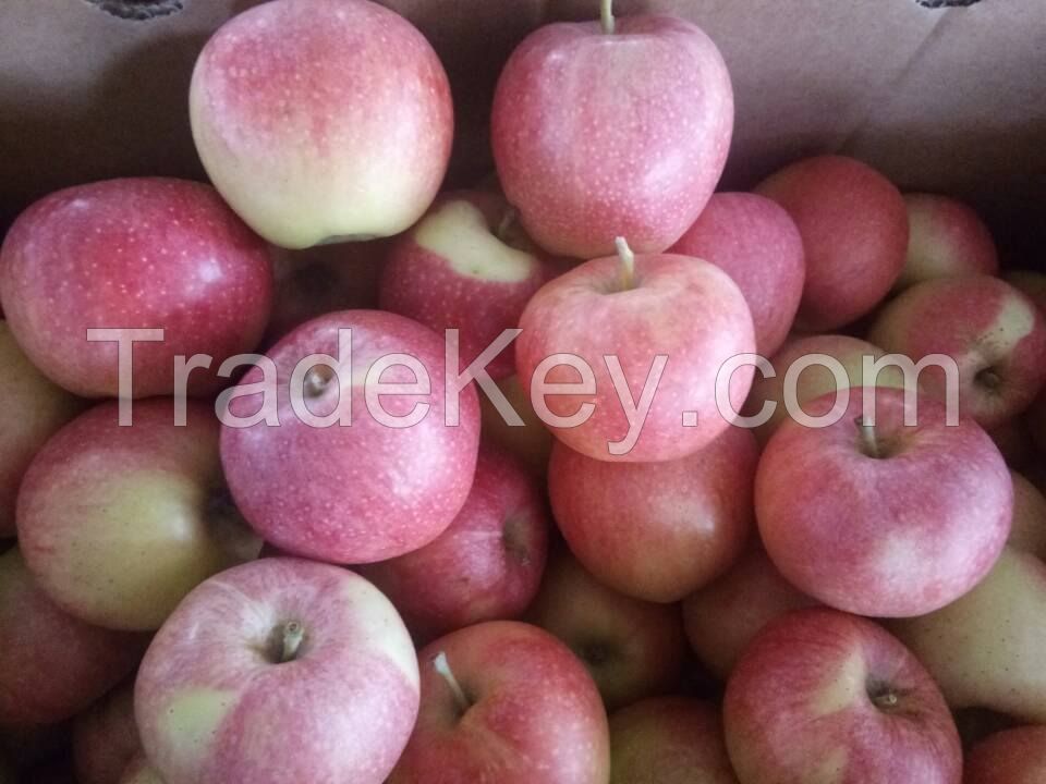 (cheaper) Golden Delicious  Fresh Apples 