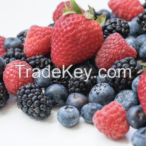 Fresh Delicious Organic Berries