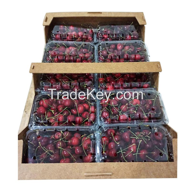 High Quality Natural Taste Red Farm Fresh Cherries for Sale