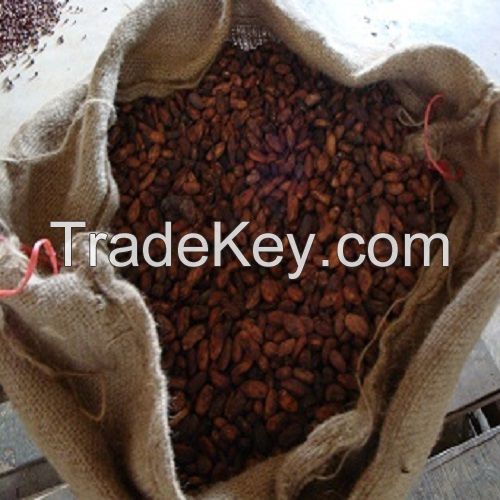 High Quality Cocoa Beans