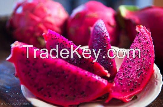  Free Sample Fresh Dragon Fruits From South Africa, Cheap Price Stock Available