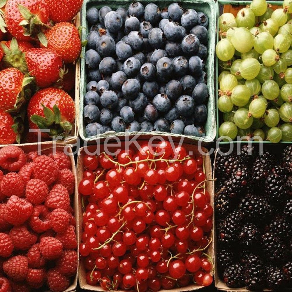 Fresh Delicious Organic Berries