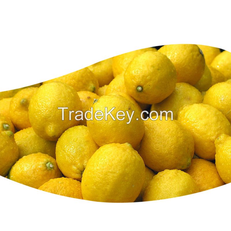  Wholesale Eureka Lemon, Fresh Lemon, Citrus Fruits
