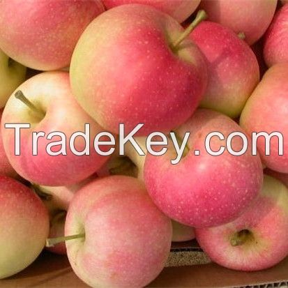 (cheaper) Golden Delicious  Fresh Apples