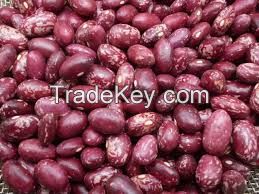  kidney beans