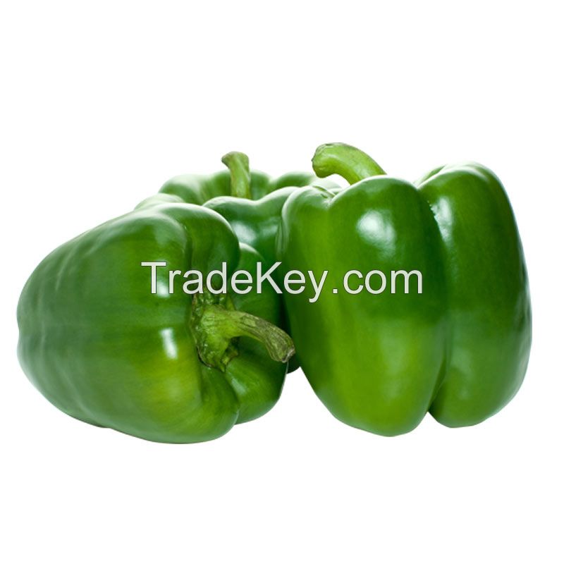 Fresh Capsicum (yellow, orange, Red,)Wholesale Capsicum / Fresh Capsicum Vegetable