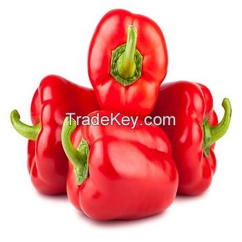 Fresh Capsicum (yellow, orange, Red,)Wholesale Capsicum / Fresh Capsicum Vegetable