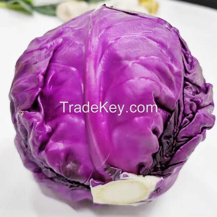 organic red cabbage