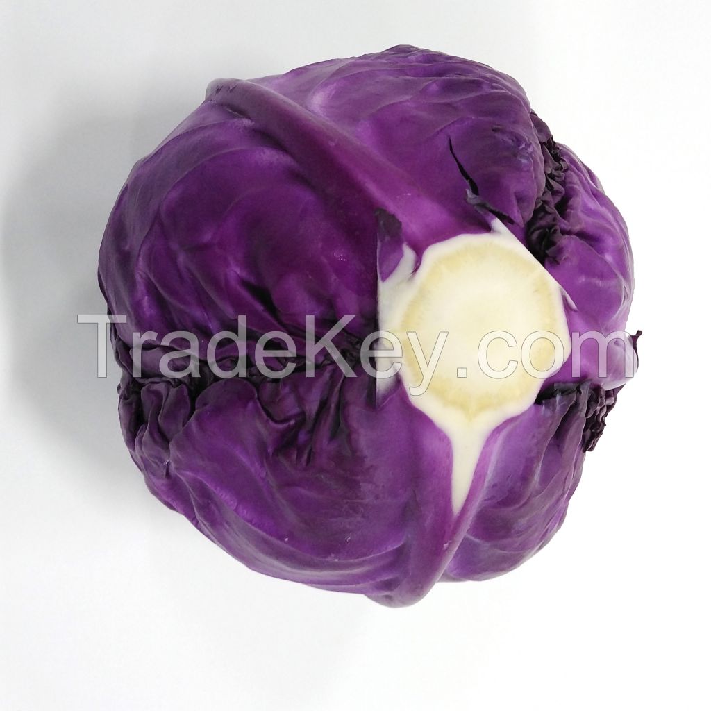 organic red cabbage