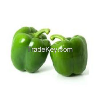 Fresh Capsicum (yellow, orange, Red,)Wholesale Capsicum / Fresh Capsicum Vegetable